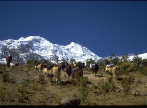 Bolivia Technical Climbs